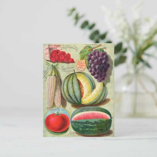 ヴィンテージシード広告はがき ポストカード (スタンド正面)