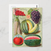 ヴィンテージシード広告はがき ポストカード (正面/裏面)