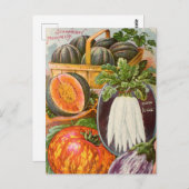 ヴィンテージシード広告はがき ポストカード (正面/裏面)