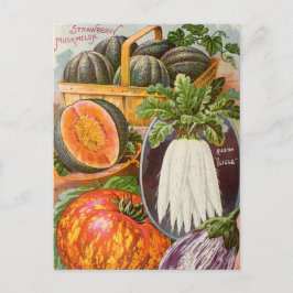 ヴィンテージシード広告はがき ポストカード