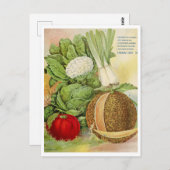 ヴィンテージシード広告はがき ポストカード (正面/裏面)