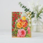 ヴィンテージシード広告はがき ポストカード (スタンド正面)