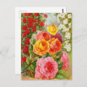 ヴィンテージシード広告はがき ポストカード (正面/裏面)