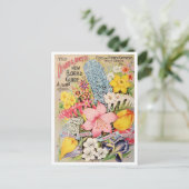 ヴィンテージシード広告はがき ポストカード (スタンド正面)