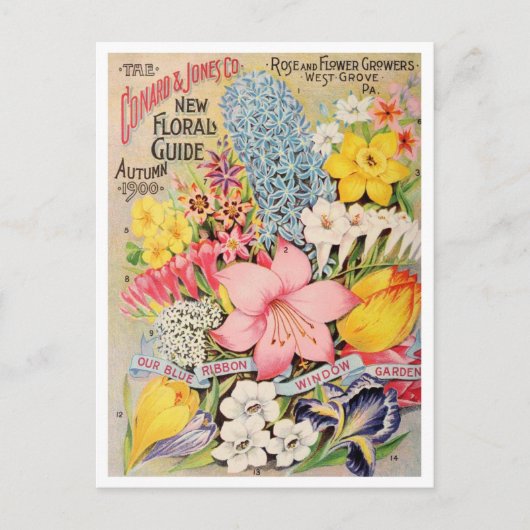 ヴィンテージシード広告はがき ポストカード (正面)