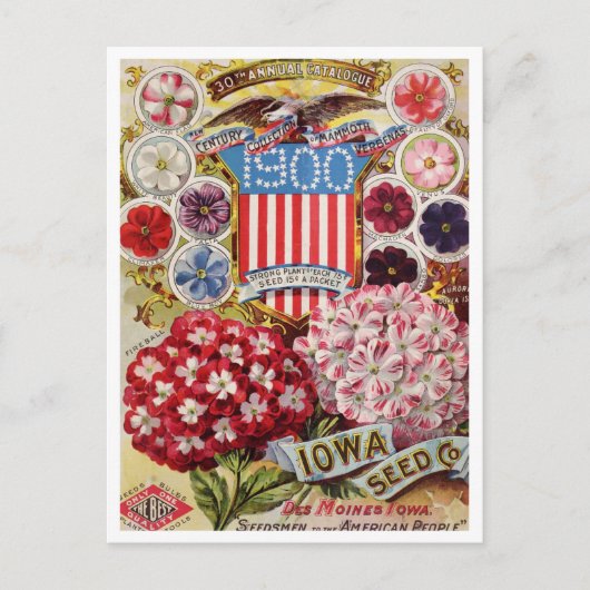 ヴィンテージシード広告はがき ポストカード (正面)