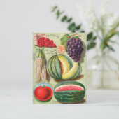 ヴィンテージシード広告はがき ポストカード (スタンド正面)