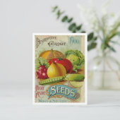 ヴィンテージシード広告はがき ポストカード (スタンド正面)