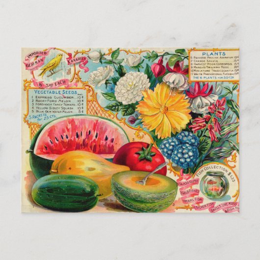 ヴィンテージシード広告はがき ポストカード (正面)