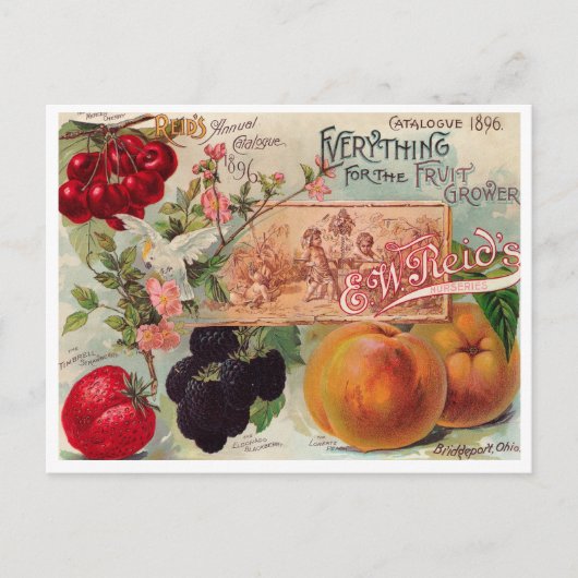 ヴィンテージシード広告はがき ポストカード (正面)