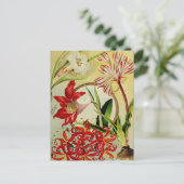 ヴィンテージシード広告はがき ポストカード (スタンド正面)