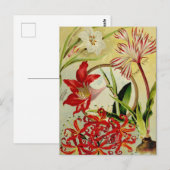 ヴィンテージシード広告はがき ポストカード (正面/裏面)