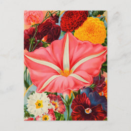 ヴィンテージシード広告はがき ポストカード