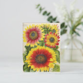 ヴィンテージシード広告はがき ポストカード (スタンド正面)