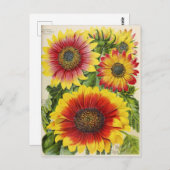 ヴィンテージシード広告はがき ポストカード (正面/裏面)