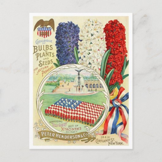 ヴィンテージシード広告はがき ポストカード (正面)