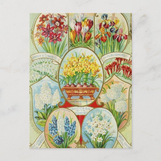 ヴィンテージシード広告はがき ポストカード (正面)