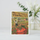 ヴィンテージシード広告はがき ポストカード (スタンド正面)