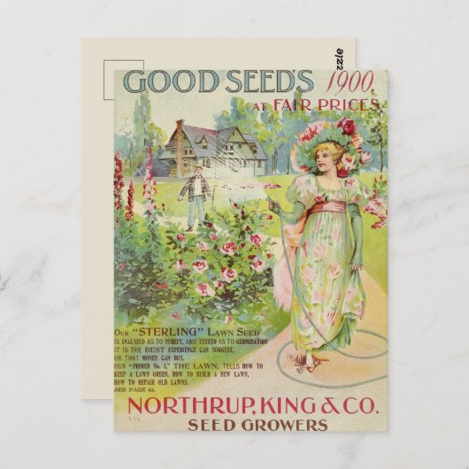 ヴィンテージシード広告はがき ポストカード (正面/裏面)
