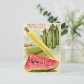 ヴィンテージシード広告はがき ポストカード (スタンド正面)