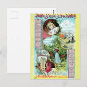 ヴィンテージシード広告はがき ポストカード (正面/裏面)