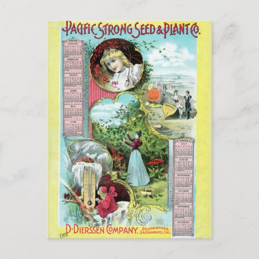 ヴィンテージシード広告はがき ポストカード (正面)