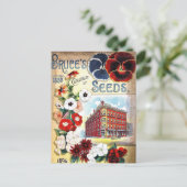 ヴィンテージシード広告はがき ポストカード (スタンド正面)
