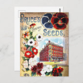 ヴィンテージシード広告はがき ポストカード (正面/裏面)