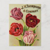 ヴィンテージシード広告はがき ポストカード (正面)