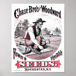 ヴィンテージシード広告 ポスター