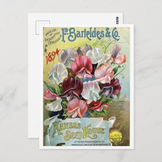 ヴィンテージシードAd ポストカード (正面/裏面)