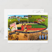 ヴィンテージシードAd ポストカード (正面/裏面)