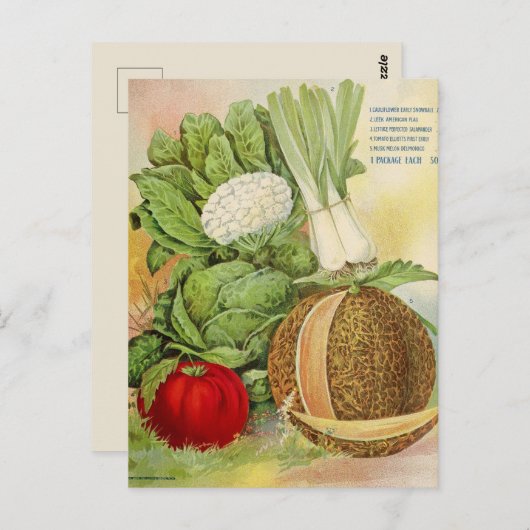 ヴィンテージシードAd ポストカード (正面/裏面)