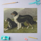 ヴィンテージシープドッグティッシュペーパー 薄葉紙 (クラフト)