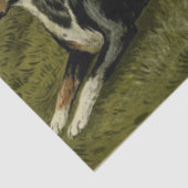 ヴィンテージシープドッグティッシュペーパー 薄葉紙 (詳細)