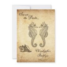 ヴィンテージシーホースとコンチシェルビーチ結婚式