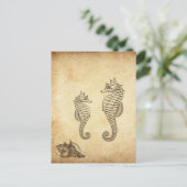 ヴィンテージシーホースとコンチシェルビーチ ポストカード (スタンド正面)