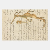 ヴィンテージシーホースとスクリプト ラッピングペーパーシート (正面3)