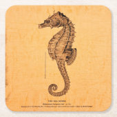 ヴィンテージシーホースイラストレーションオーナメントインセピアD スクエアペーパーコースター (正面)
