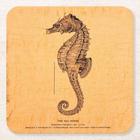 ヴィンテージシーホースイラストレーションオーナメントインセピアD スクエアペーパーコースター (正面)
