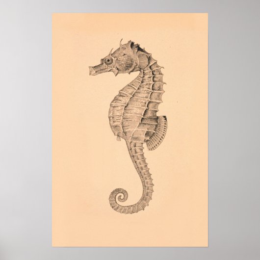 ヴィンテージシーホースディプティチII ポスター (正面)