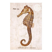 ヴィンテージシーホース – アンティークシーホースカスタマイズ フォトプリント            (正面)