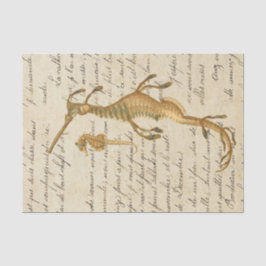 ヴィンテージシーホース 薄葉紙