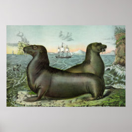 ヴィンテージシーライオンズイラストレーション19"X13" ポスター