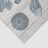 ヴィンテージシーライフコーラルタートスターフィッシュシェルウッド 薄葉紙 (詳細)