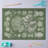 ヴィンテージシーライフデクページティッシュペーパー 薄葉紙 (クラフト)