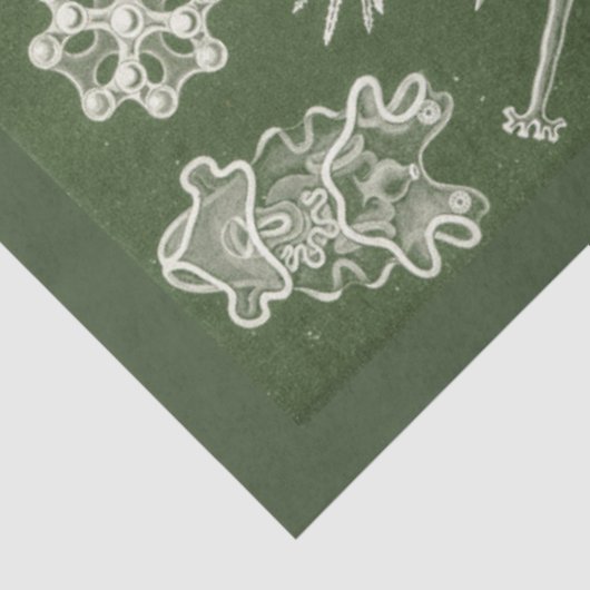 ヴィンテージシーライフデクページティッシュペーパー 薄葉紙 (詳細)