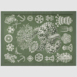 ヴィンテージシーライフデクページティッシュペーパー 薄葉紙