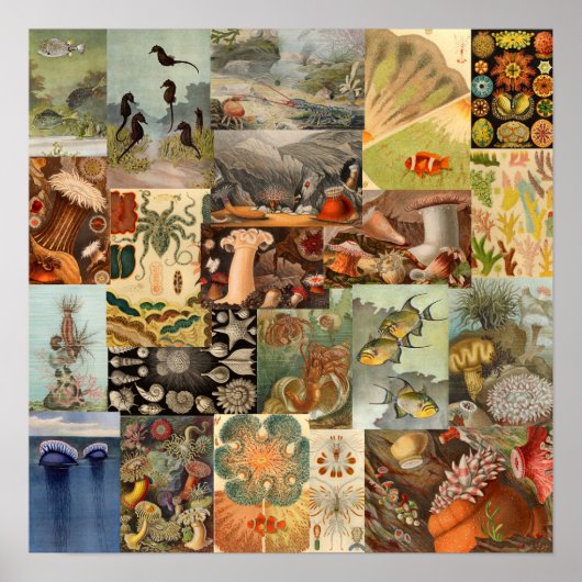 ヴィンテージシーライフ海コラージウォールデコール ポスター (正面)