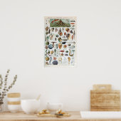 ヴィンテージシーライフ ポスター (キッチン)